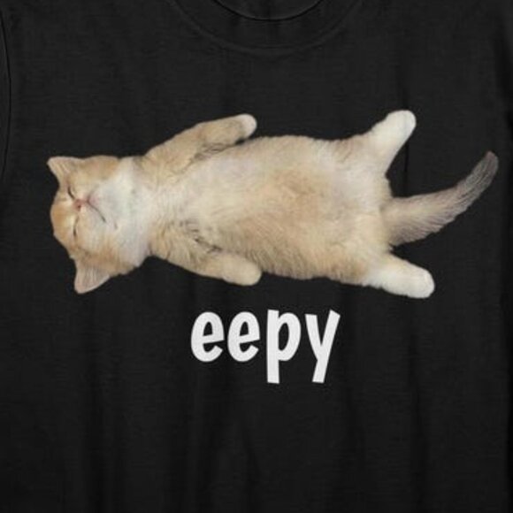 Silly Sleepy Cat Unhinged Sarcastic Humor Meme T-Shirt - Picture 2 of 4